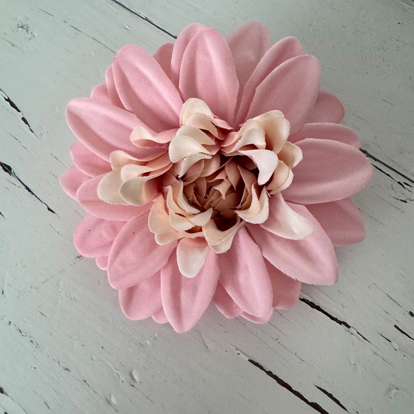 Dahlia